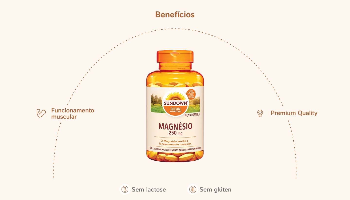 Suplemento Alimentar Sundown Magnésio 250mg 100 Comprimidos